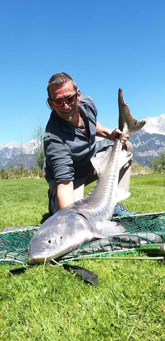 Bild von Gerhard Juratsch